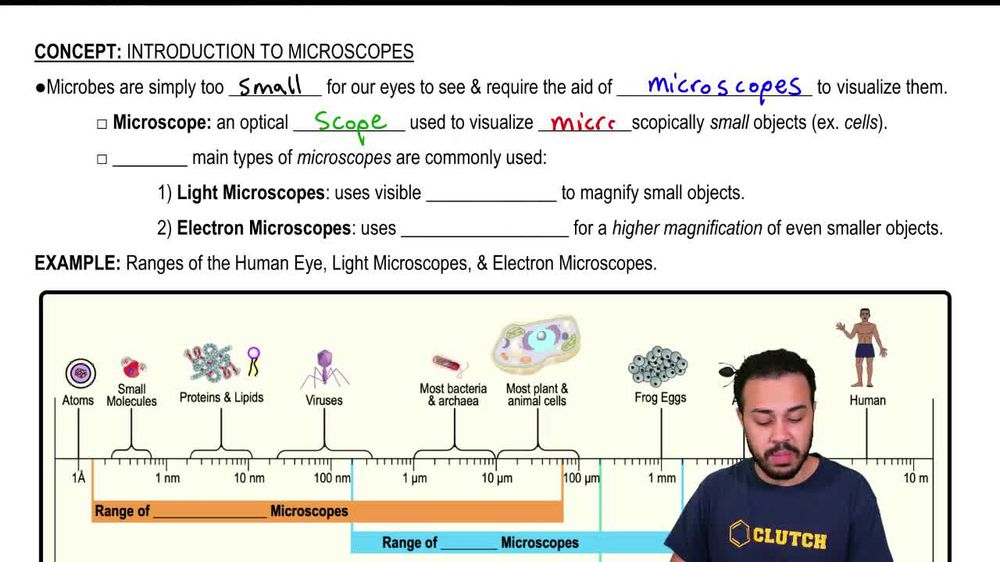 Introduction to Microscopes