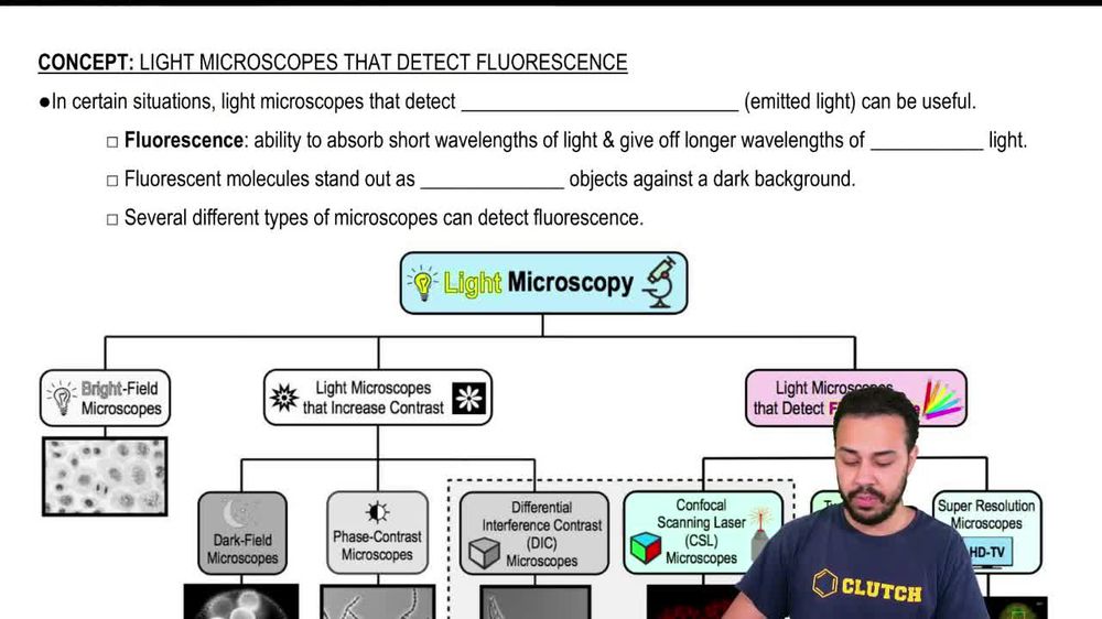 Light Microscopes that Detect Fluorescence