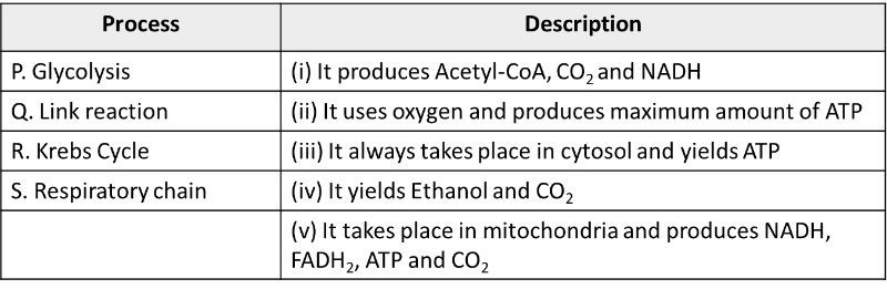 Steps of Cellular respiration and Descriptions