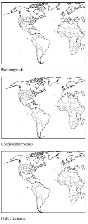 Three blank world maps labeled Blastomycosis, Coccidioidomycosis, and Histoplasmosis for coloring endemic disease areas.