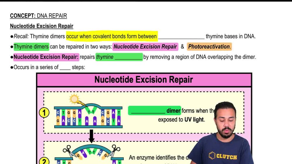 Nucleotide Excision Repair