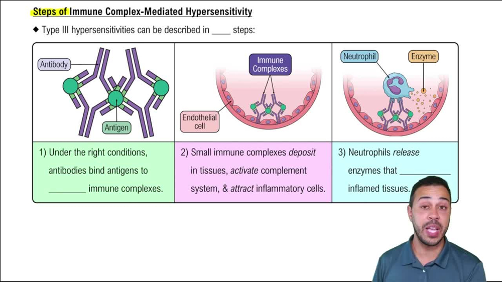 Steps of Immune Complex- Mediated Hypersensitivity