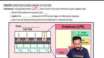 Endotoxin