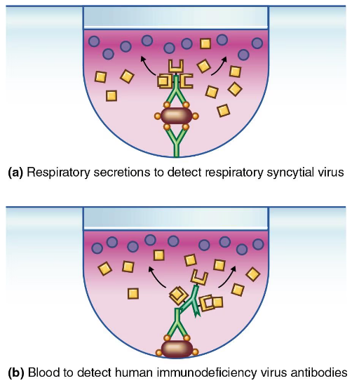 Diagram showing antibody-antigen interactions in ELISA tests detecting respiratory virus and HIV antibodies.