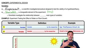 Variables