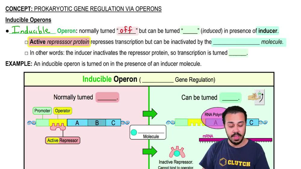 Inducible Operons