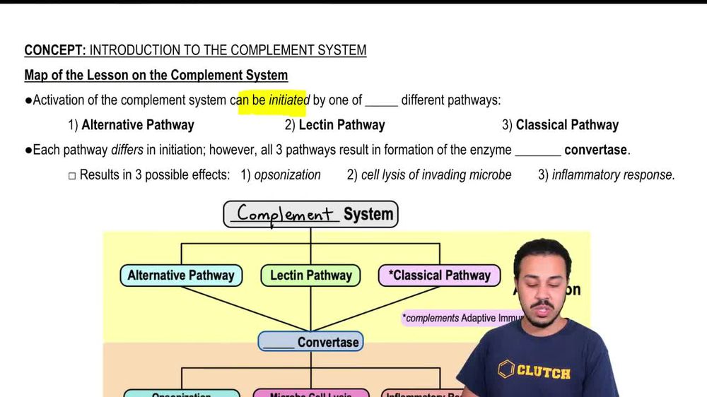 Map of the Lesson on the Complement System