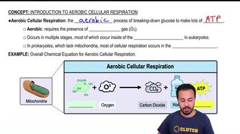 Introduction to Aerobic Cellular Respiration