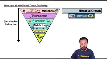 Hierarchy of Microbial Growth Control Terminology
