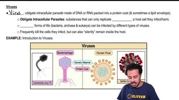 Viruses