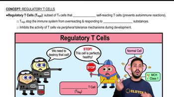 Regulatory T Cells