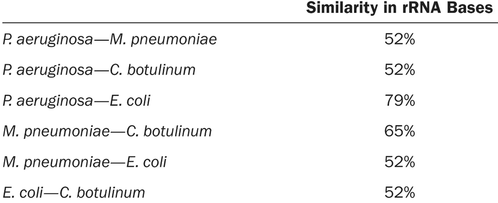 Table showing rRNA base similarity percentages between six pairs of bacterial species for cladogram construction.