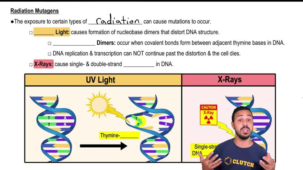 Radiation Mutagens