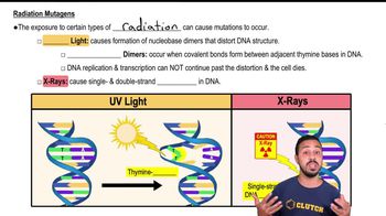 Radiation Mutagens