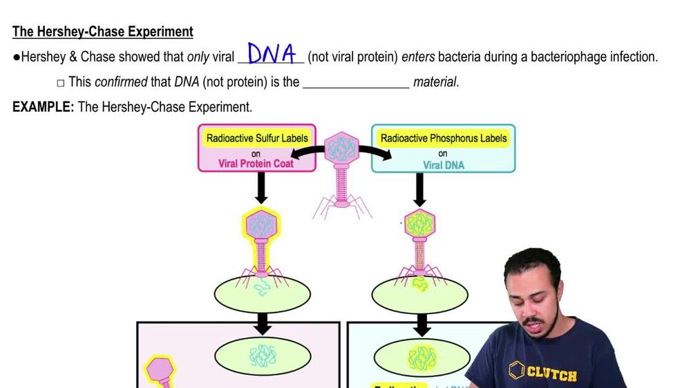 The Hershey-Chase Experiment