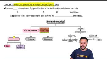 Physical Barriers in First-Line Defenses: Skin