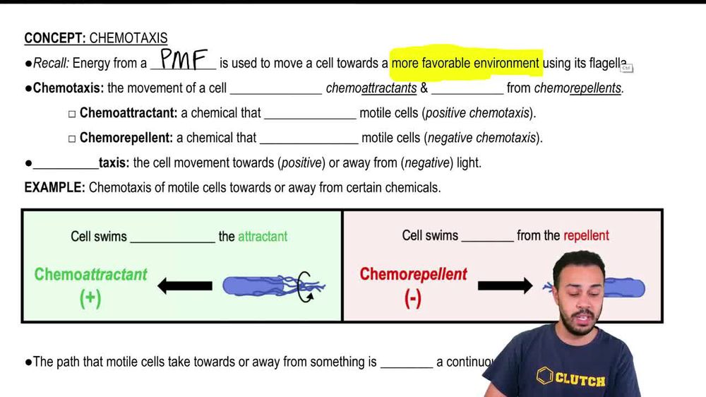 Chemotaxis
