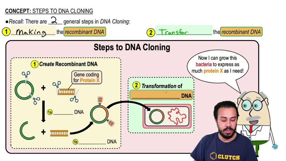 Steps to DNA Cloning