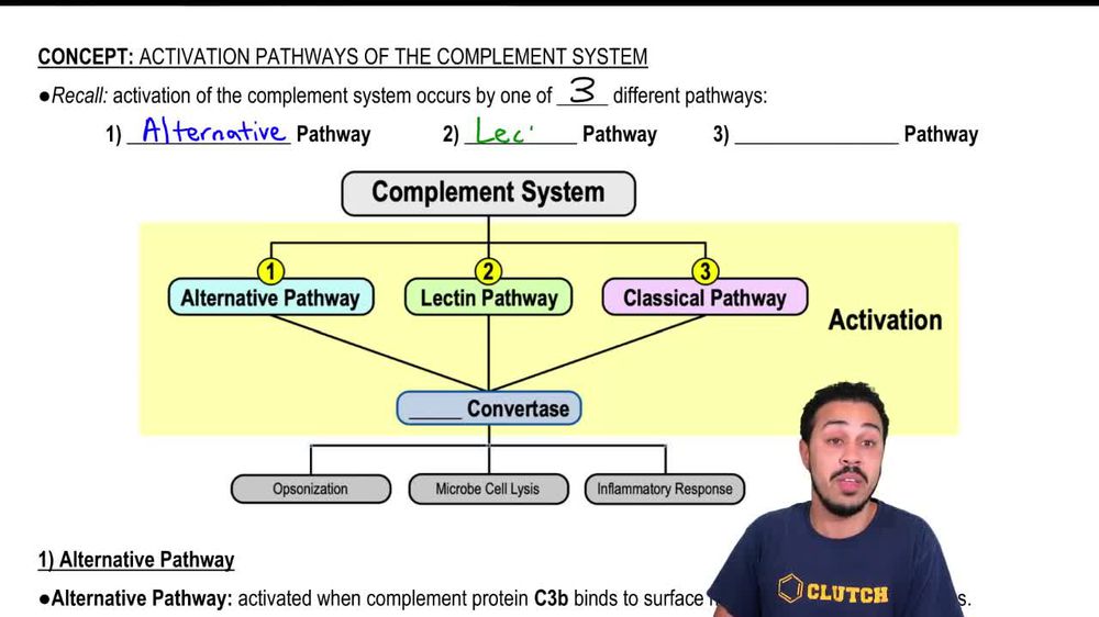 1) Alternative Pathway