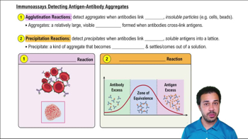 Immunoassays Detecting Antigen-Antibody Aggregates