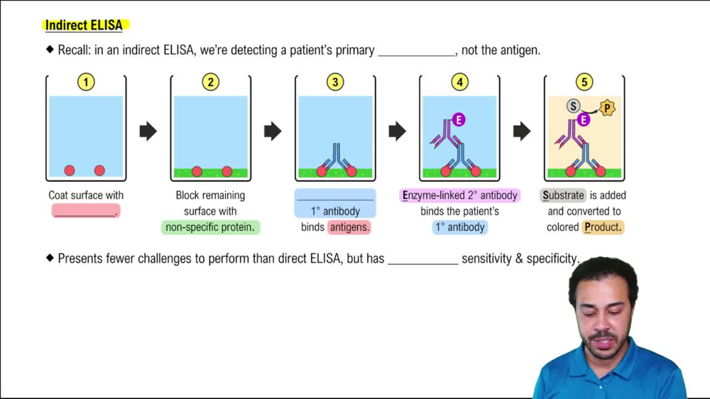 Indirect ELISA