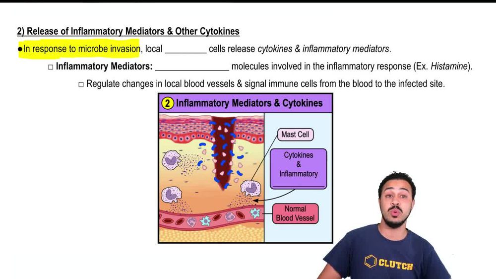 2) Release of Inflammatory Mediators & Other Cytokines
