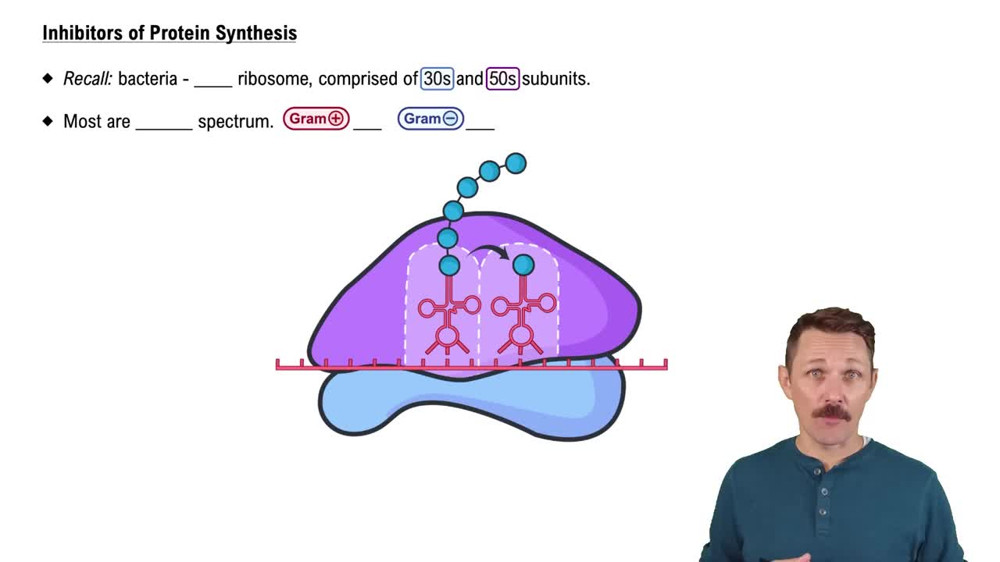 Inhibitors of Protein Synthesis