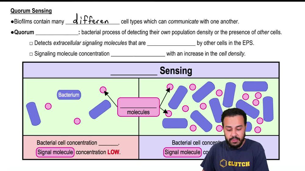 Quorum Sensing