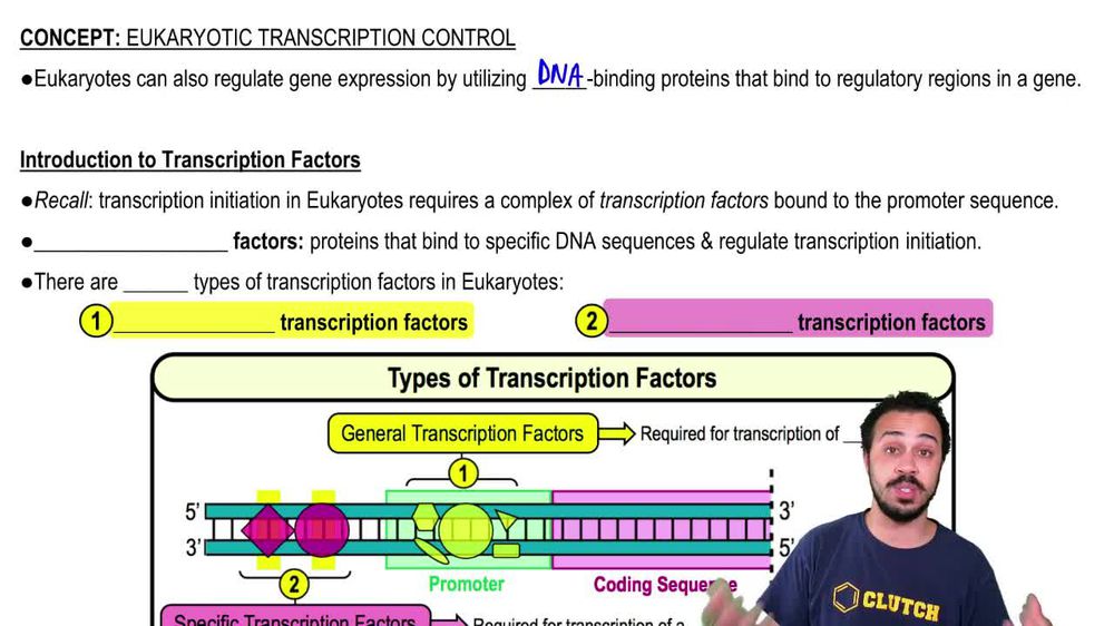 Eukaryotic Transcriptional Control