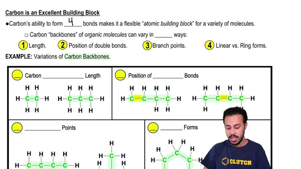 Carbon is an Excellent Building Block