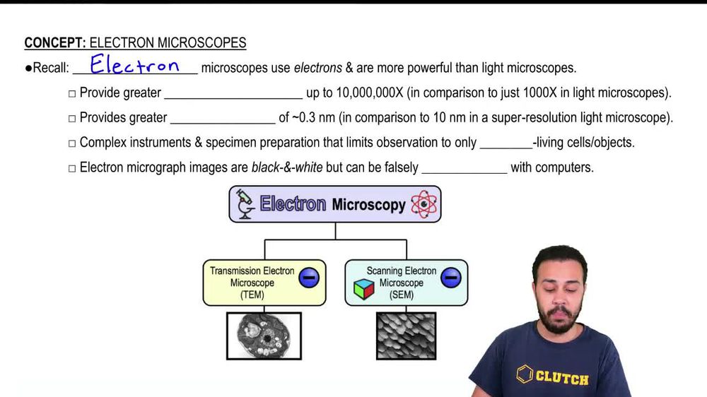 Electron Microscopes