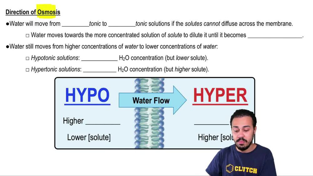 Direction of Osmosis