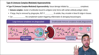 Type III (Immune Complex-Mediated) Hypersensitivity