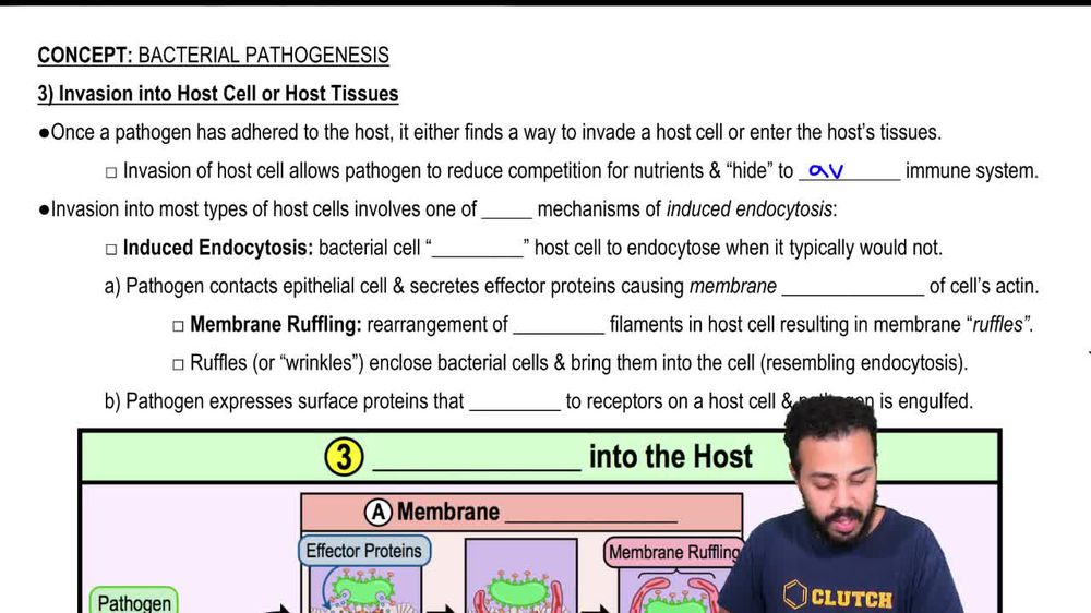 3) Invasion into Host Tissues