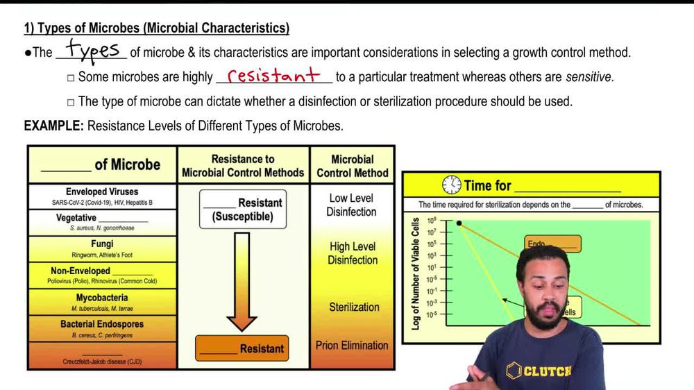 Types of Microbes (Microbial Characteristics)