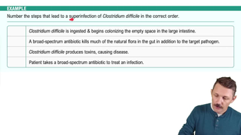 Superinfections Example 1