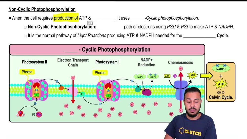 Non-Cyclic Photophosphorylation