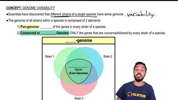 Genome Variability