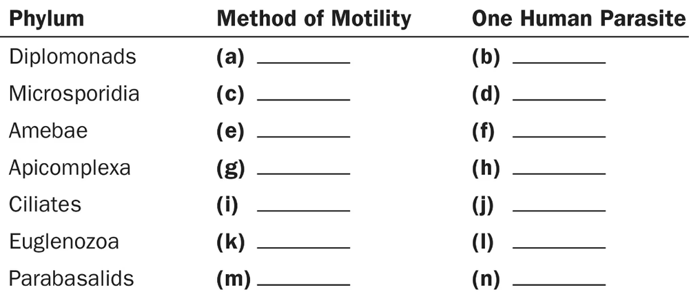 Table with three columns labeled Phylum, Method of Motility, and One Human Parasite, listing seven phyla with blank spaces for motility methods and parasites.