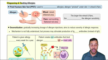 Diagnosing & Treating Allergies