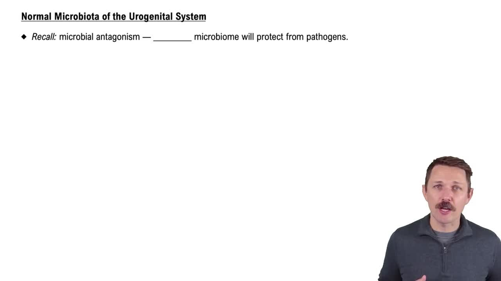 Normal Microbiota of the Urogenital System