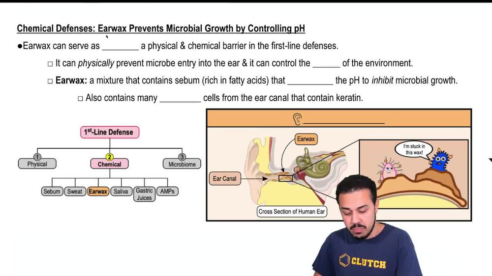 Chemical Defenses: Earwax Prevents Microbial Growth by Controlling pH