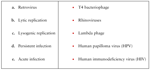 Matching exercise table with virus-related terms on the left and virus names on the right.