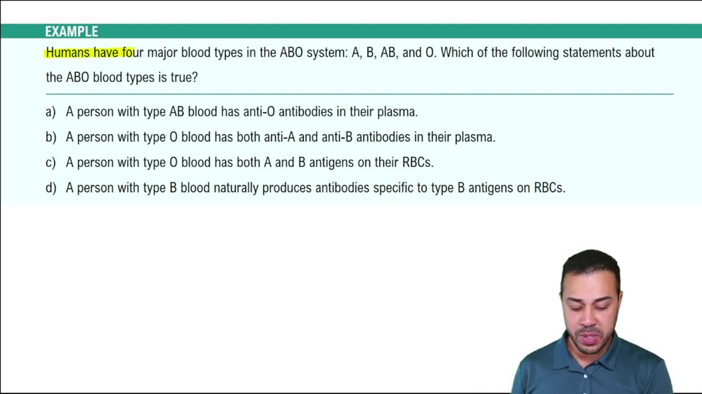 Type II Hypersensitivities Example 1