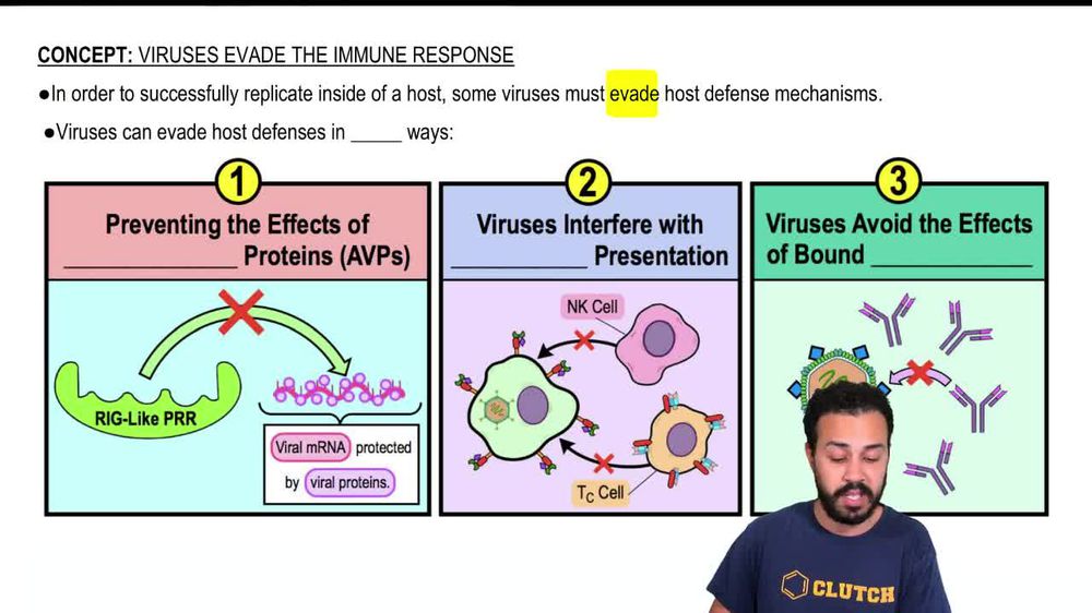Intro to How Viruses Evade the Immune Response