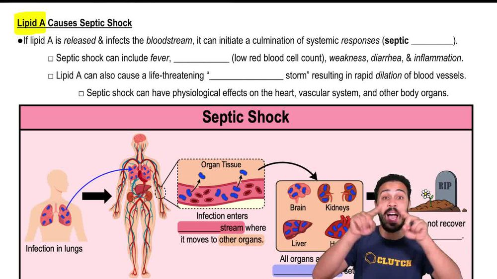 Lipid A Causes Septic Shock