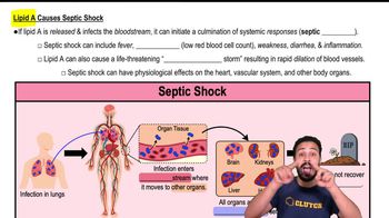 Lipid A Causes Septic Shock