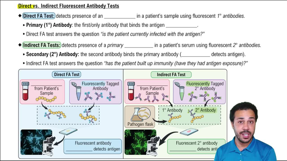 Direct vs. Indirect Fluorescent Antibody Tests