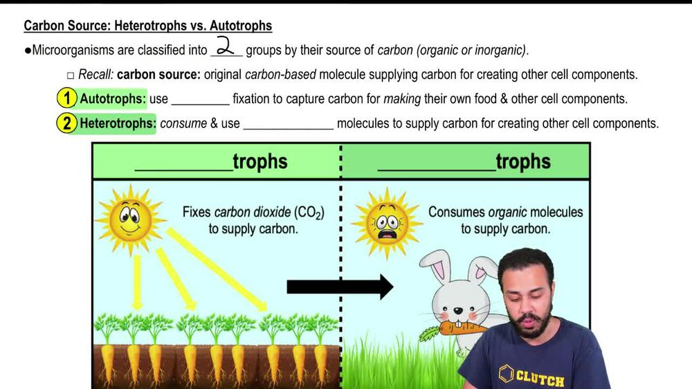 Carbon Source:Heterotrophs vs. Autotrophs