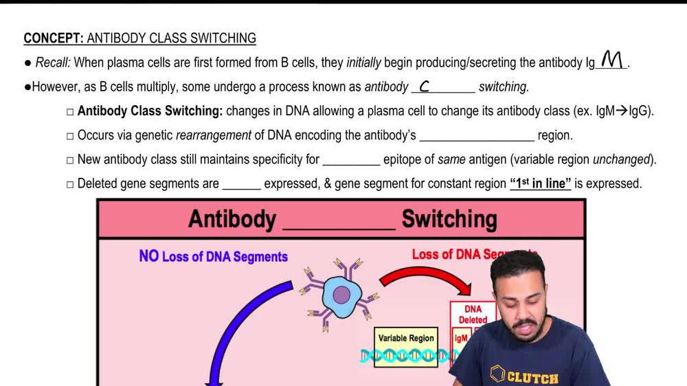 Antibody Class Switching
